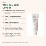 Benefits of AXIS-Y Panthenol 10 Shield Cream - panthenol 10%, TECA centella, ceramide barrier repair