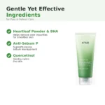 Anua Heartleaf cleansing foam ingredients infographic on heartleaf background highlighting heartleaf powder and BHA, Anti-Sebum P and Quercetinol