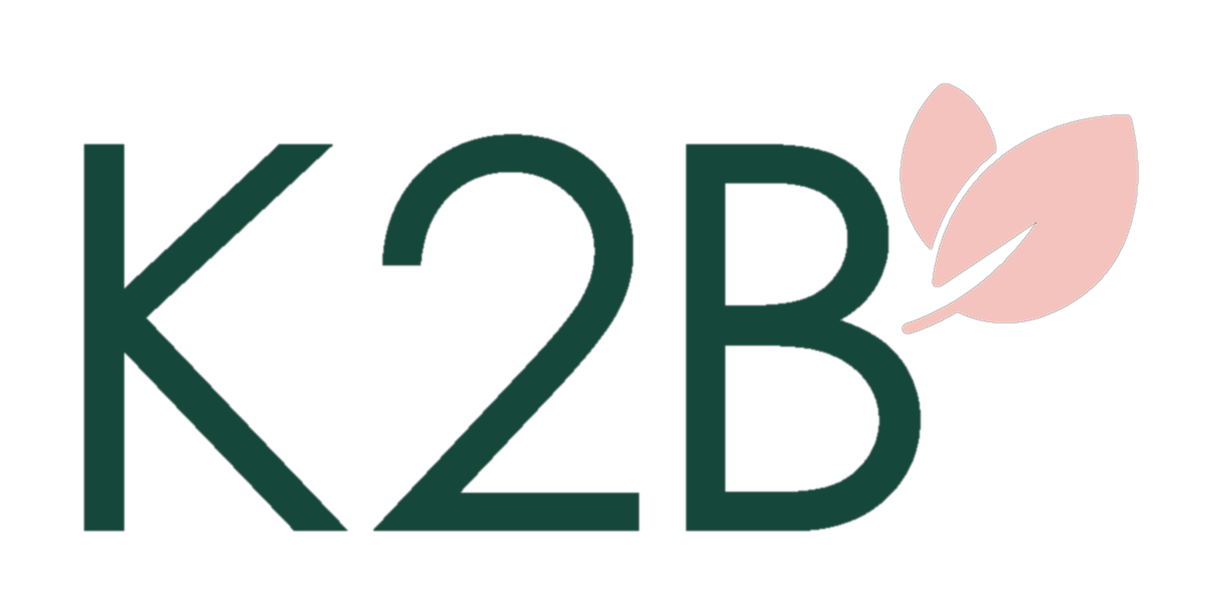 K2B Lifestyle transparent logo - Korean skincare Bangladesh