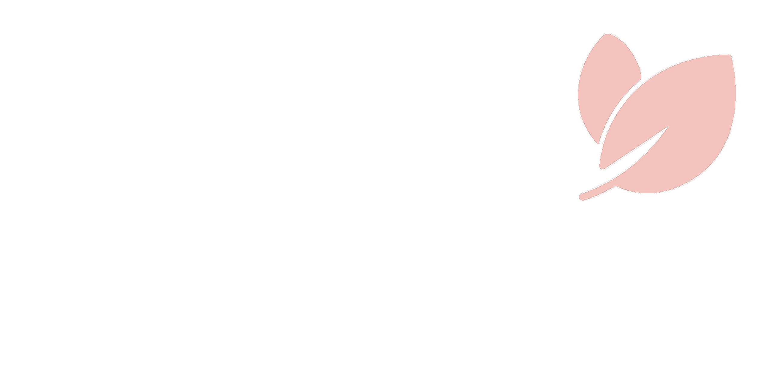 K2B logo